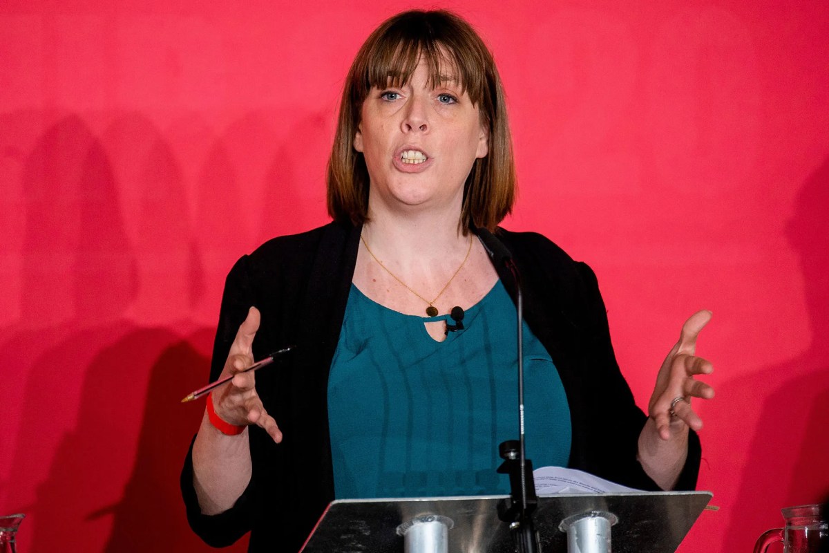 Elon Musk's abuse of Jess Phillips has pushed real victims into